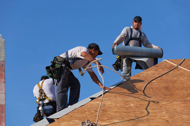 Roof Gutter Cleaning in Roswell, NM